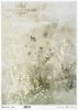 kwiaty polne, trawy, akwarela*field flowers, grasses, watercolour*Feldblumen, Gräser, Aquarell*flores de campo, hierbas, acuarela